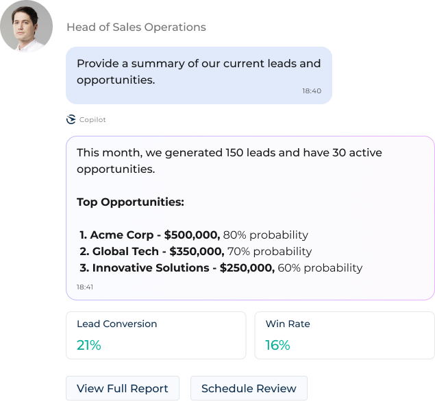 Creatio AI lead and opportunity summary feature